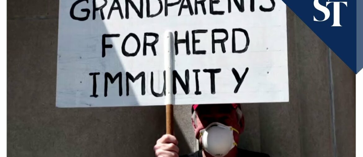 US coronavirus task force coordinator denies 'herd immunity' strategy