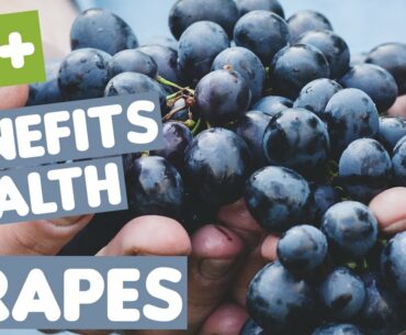 Grapes Medicinal Uses: Red, Black & Green Grapes Nutritional Facts, Properties & Health Benefits