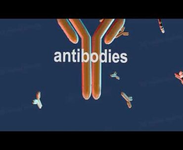 Moderna coronavirus vaccine candidate produced a strong immune response in older adults