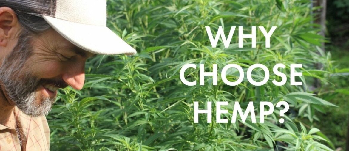 Why Choose Hemp to Support Your Wellness Routine?