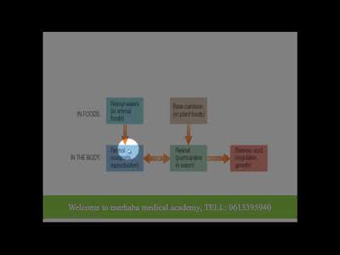 Nutrition,fat soluble vitamins 7