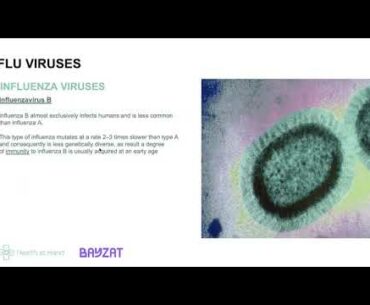 Health Webinar 1 - Flu season during the Covid-19 pandemic