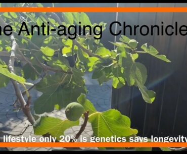 The Anti-aging Chronicles; Indian Spice & Everything Nice!