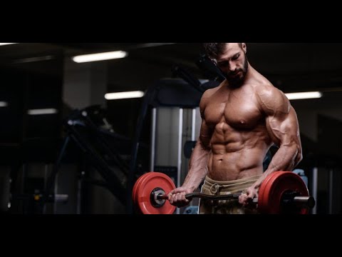 6 Easy Facts About Five Types of Bodybuilding Supplements to Promote Wellness Explained