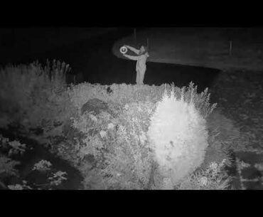 2020 09 03   Coronavirus Protection 14