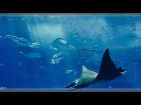 9/5/2020 Headlines include "This is the biggest coronavirus immunity study ..."