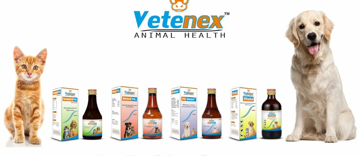 Pet Supplements | Multivitamin | Liver Tonic | Calcium | Electrolytes | Manufacturer | Hindi