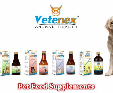 Pet Supplements | Multivitamin | Liver Tonic | Calcium | Electrolytes | Manufacturer | Bengali