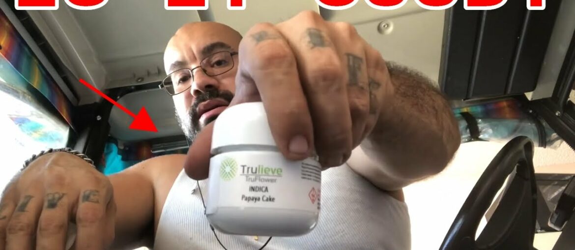 TRULIEVE PAPAYA CAKE STRAIN REVIEW | DIET TIME | SHOULD I DROP A FREESTYLE | FEELING TIRED AND WEAK