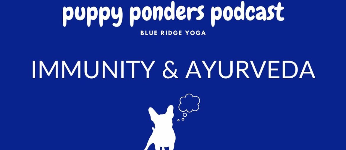 Puppy Ponders Episode 1: Immunity & Ayurveda During COVID-19
