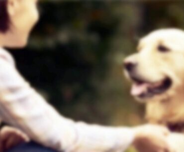 Total Pet Health   Know Your Vitamins, Minerals and Supplements