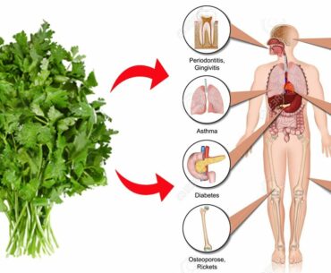 8 Best Health Benefits Of Cilantro || Health Benefits Of Eating Cilantro Leaves