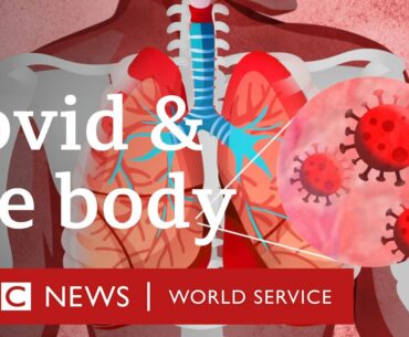 What does Covid-19 do to the body? - BBC World Service