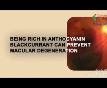 Vitamin E se milenge ye fayade  Renatus nova results. Renatus wellness products. Renatus Nova