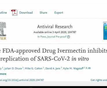 Ivermectin Possible Treatment for COVID 19
