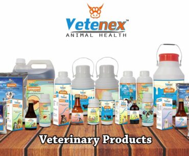 Veterinary Products | Veterinary Medicine | Animal Feed Supplement | Veterinary Distributorship