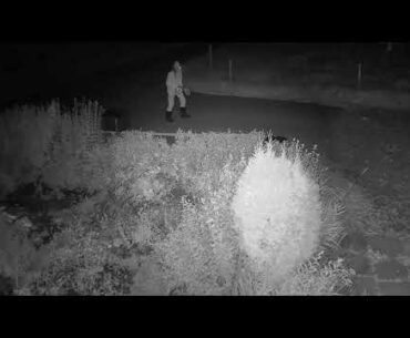 2020 09 06   Coronavirus Purge, spin style