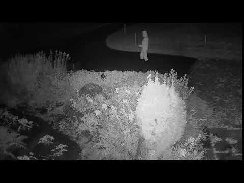 2020 09 05   Coronavirus Protection 15