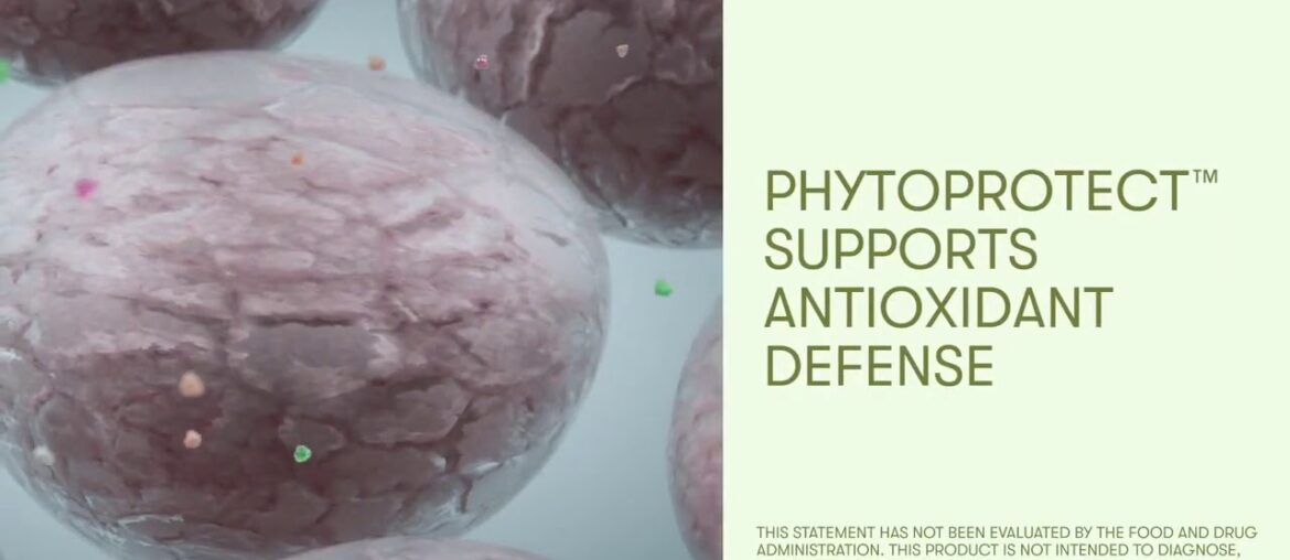 Double X Multivitamin Helps Fill the Nutrient Gap You Lack From Your Food