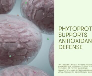 Double X Multivitamin Helps Fill the Nutrient Gap You Lack From Your Food