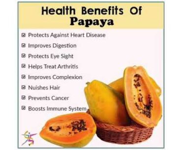 7 foods to boost your immune system fast | Health Knowledge