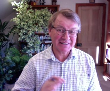 7 Myths About Improving And Supporting Your Immune System