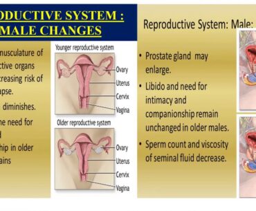 National Webinar | Nutrition for all ages during COVID-19 Pandemic | Day 06