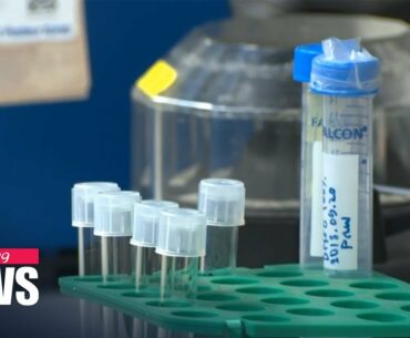 S. Korea to mass-produce antibody treatment of COVID-19 this month