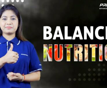 Balanced Nutrition | Proathlix
