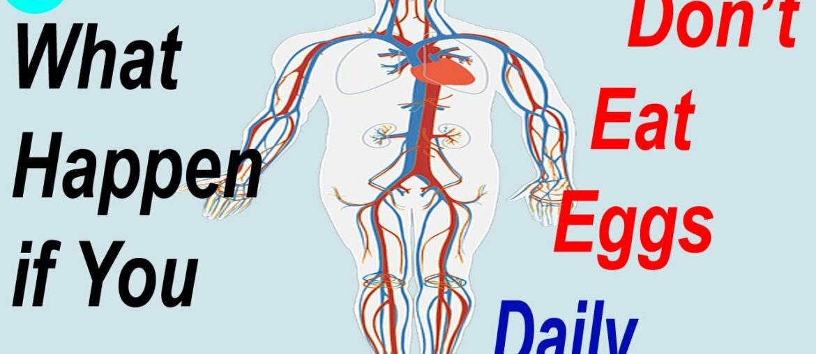 What happen if You Don’t Eat Eggs Daily | Fitness Facts | Eggs Benefits | Start Eating 2 Eggs a Day