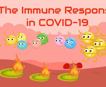 The Immune Response in COVID-19