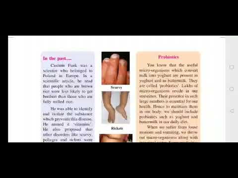 "Nutrition and Diet part 2 " chapter 7 class 6 Enviromental studies maharashta board