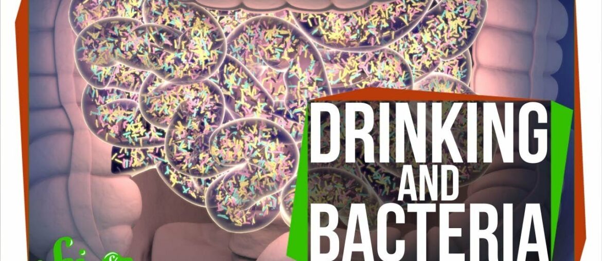 Does Drinking Alcohol Kill Your Gut Bacteria?
