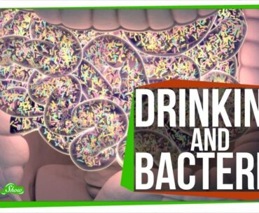 Does Drinking Alcohol Kill Your Gut Bacteria?