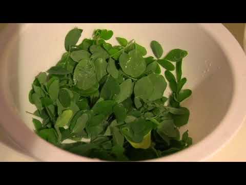 TaylorMade Super Immune Booster Organic Green Smoothie