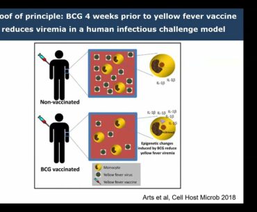 SAIS/Immunopaedia Webinar on BCG & COVID-19