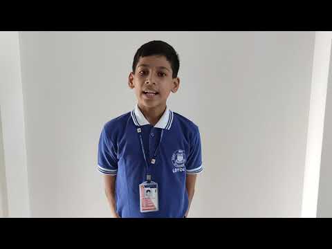 Importance of Immune System..