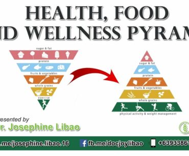 Health, Food and Wellness Pyramid Guide by Dr. Josephine Libao M.D. "Doc Joy"