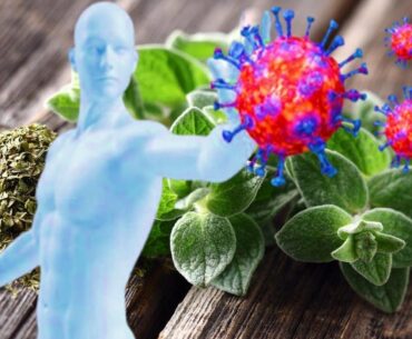 5 Reasons Oregano Should Grow In Every Garden