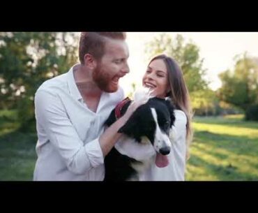 Metabolic Maintenance Vitamin Mineral Base Powder - Multivitamin with Active B Vitamins + Ch Reviews