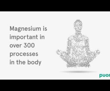 M3 - Organic Magnesium Complex by Puori