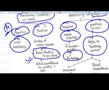 Covid 19 and Pregnancy - First Information for practicing obstetritians