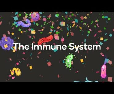 The Immune System - Unit overview!