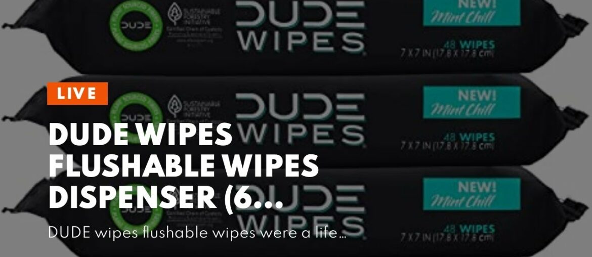 DUDE Wipes Flushable Wipes Dispenser (6 Packs, 48 Wipes Each), Unscented Wet Wipes with Vitamin...
