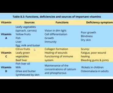 IX BIOLOGY LESSON # 62 CHAPTER # 8 TOPIC: VITAMIN C & D