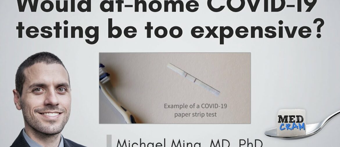 COVID 19 Antigen Testing At Home: Would It Be Too Expensive?