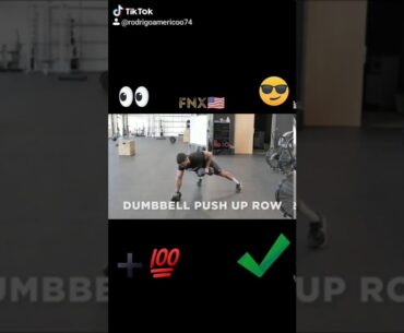 Dumbbell Push UP Row