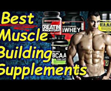 which supplement is best for bodybuilding?