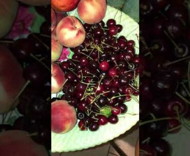 Vitamin C (antioxidant) loaded Veges & Fruits strengthen immune system