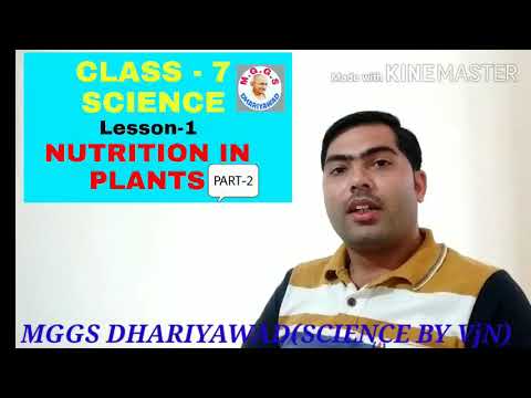 CLASS 7 SCIENCE | LESSON 1 | NUTRITION IN PLANTS | part 2